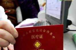 极早熟丝瓜---五叶香丝瓜A型