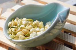 加工番茄新品种筛选试验