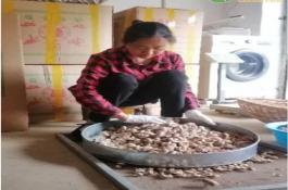 选择、坚持、热爱（他们把货从农村卖向全国！）