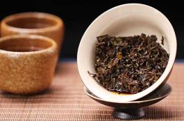 黑茶有什么特点？特征、习性与用途