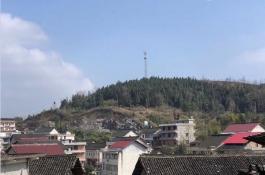 农业农村部关于农村