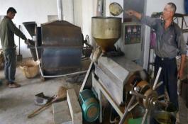 春节赚钱暴利项目