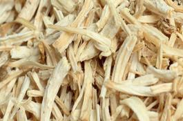 生态型桔红心高端大白菜在平度市培育成功