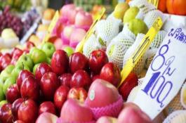 小白菜越冬栽培收获