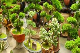 春节卖什么最挣钱