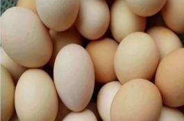 蒜苗多层架床的栽培