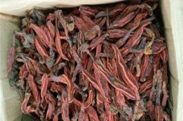 越冬茬黄瓜5注意