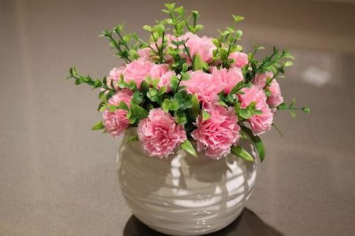 怎么让康乃馨快速开花,康乃馨快速开花技巧
