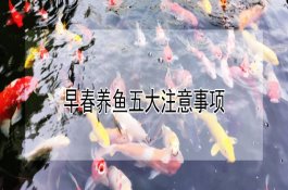 使用瓜田除草剂需知要点