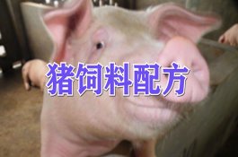 辣椒生育特点介绍