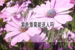 大棚蔬菜粉剂使用注意事项