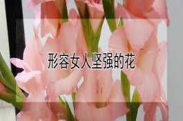 巧治猪无名高热病