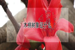 猪病手册--猪疾病的预防和控制