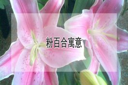 治疗仔猪李氏杆菌病的措施