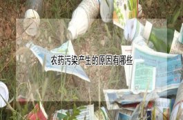 如何预防东北大豆食心虫 如何预防东北大豆食心虫