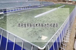 了解气温对小麦赤霉病的影响 了解气温对小麦赤霉病的影响
