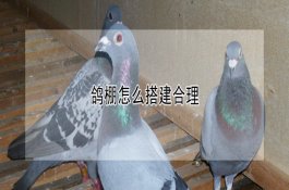草菇折翅菌蚊的药剂防治法