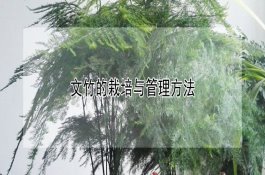 防治甜瓜白粉病怎样用药