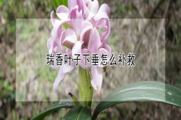 我国生态农业投资热点分析