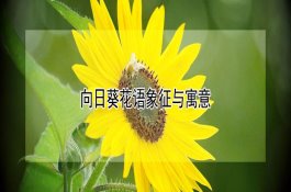 常见猪细颈囊虫病的防治