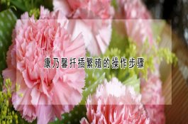 猪毛首线虫病和食道口线虫病的危害