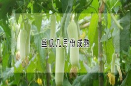 多雨季节存储化肥注意要点