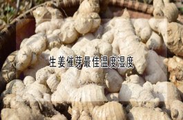 苹果树矮化怎么办
