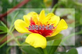 在农村养10头牛成本要多少？
