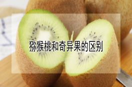 黑豆粉与骨粉同时喂猪效果好