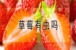 怀孕后期奶牛可适量补充维生素E