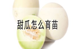 加工猪饲料用农作物秸茎叶渣