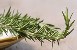 猪呼吸道病的控制