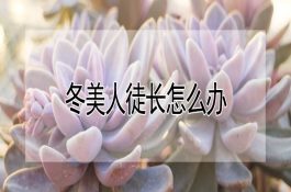 建立完善的种猪疫病防控体系