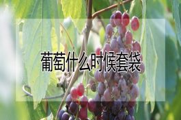 鸡兔同笼（病患无穷）