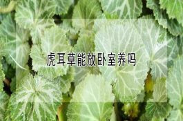 断奶仔猪日粮配制原则