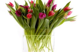 仔猪低血糖综合防治方法