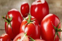 猪瘟病的治疗五种土法的良方