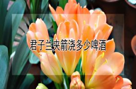 应对特种公野猪不发情的方法