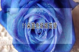 一例怀孕母猪马铃薯中毒的抢救