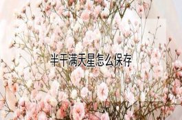 猪口蹄疫病原