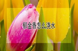 哺乳期仔猪死亡及防治