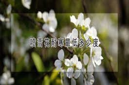 提高后备母猪发情率六措施