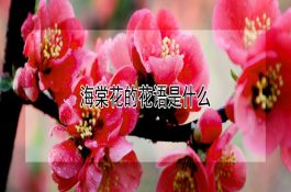 重视猪传染性萎缩性鼻炎的控制