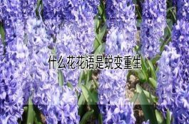 规模养猪场怎样实现“零排放”