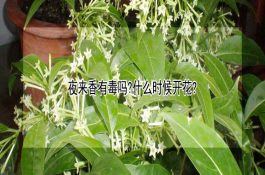 猪的细菌性疾病－猪水肿病