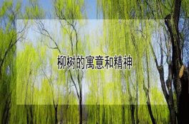 金正日半月内三次视察养猪场