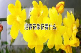 一猪场一年的猪粪居然创收55万！