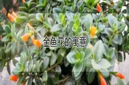 仔猪缺铁症防治方法