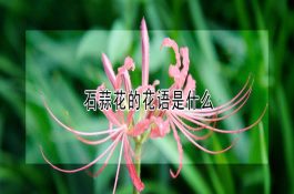 仔猪对环境要求