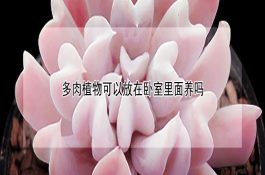 猪微量元素饲料配方